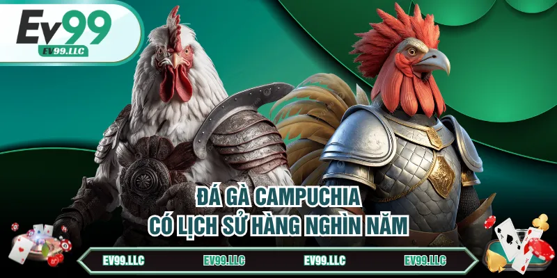 Đá Gà Campuchia | Giải Trí Cá Cược Thú Vị Và Đặc Sắc 2 Đá gà Campuchia có lịch sử hàng nghìn năm