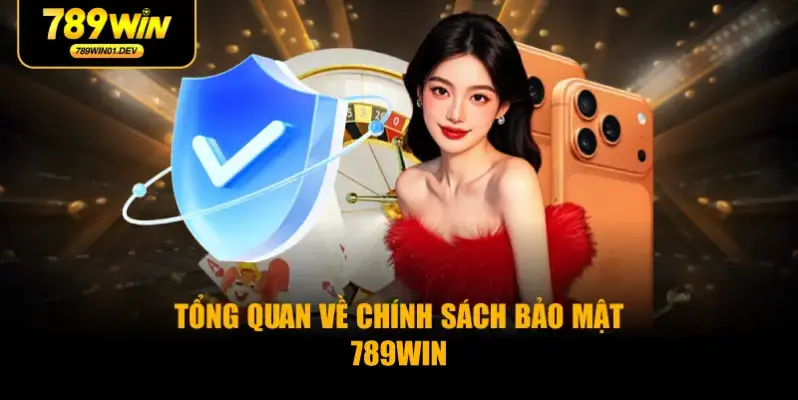Tổng quan về chính sách bảo mật 789WIN